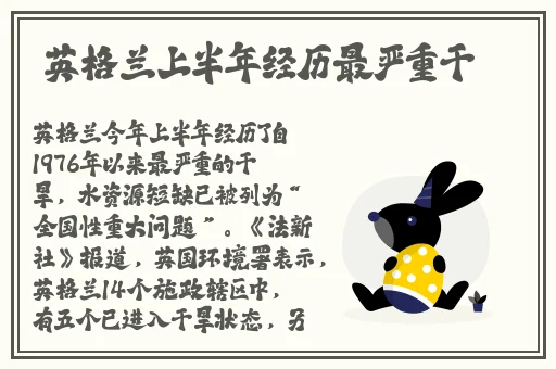 一个人看的免费观看日本
